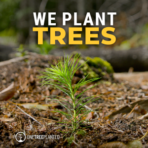 7 We Plant Trees