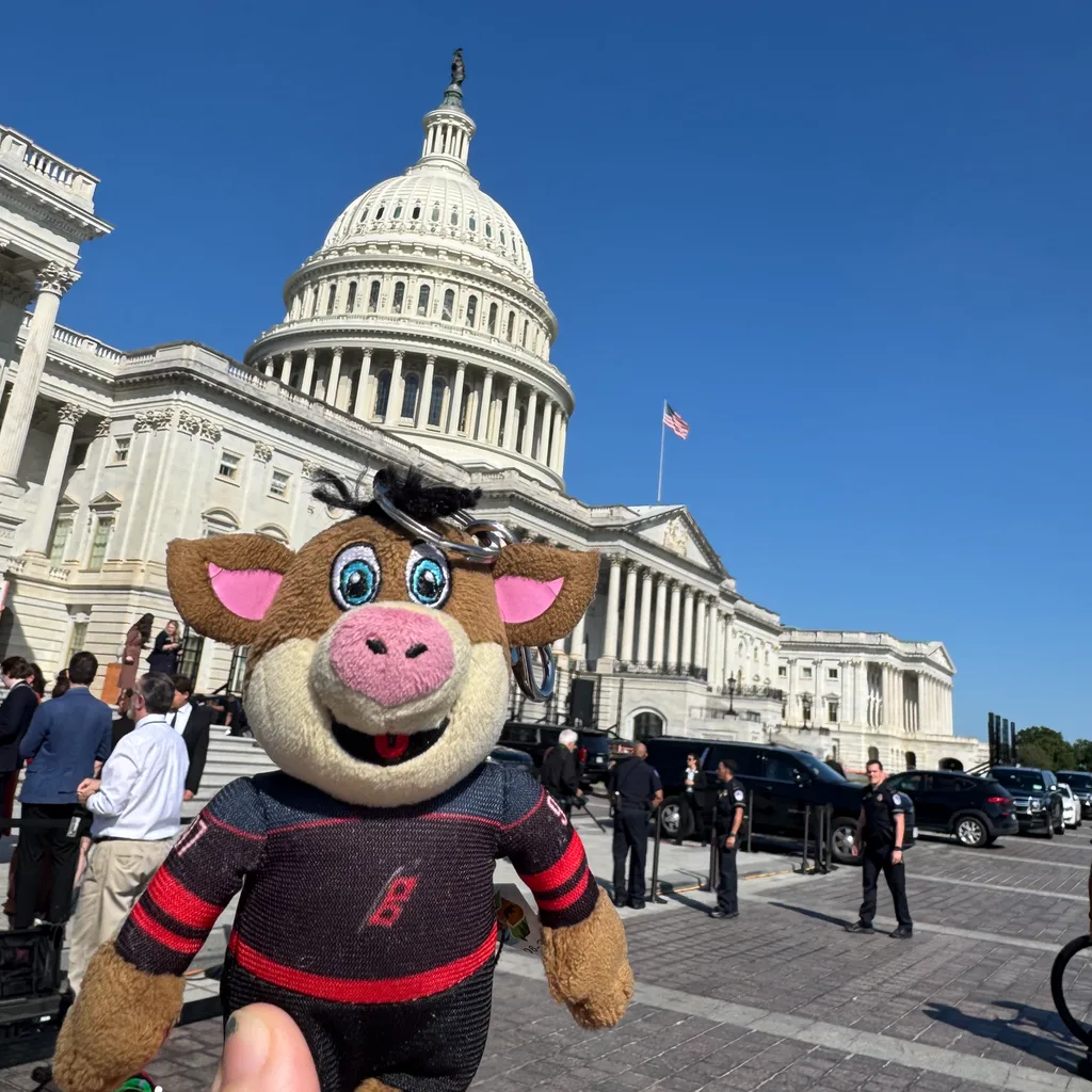 Carolina Hurricanes mascot, Stormy, in front of the US Capitol. It is midday and the sun is out and the sky is clear blue.